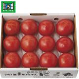 【お中元】「顔が見える野菜。」北海道産新田さんのフルーツトマト
