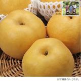 【梨ギフト】茨城県かすみがうら市千代田地区産　鈴木さん新高梨　５ｋｇ（８玉入）　ＣＮ５－８