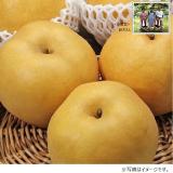 【梨ギフト】茨城県かすみがうら市千代田地区産　鈴木さん新高梨　５ｋｇ（９玉個入）　ＣＮ５－９