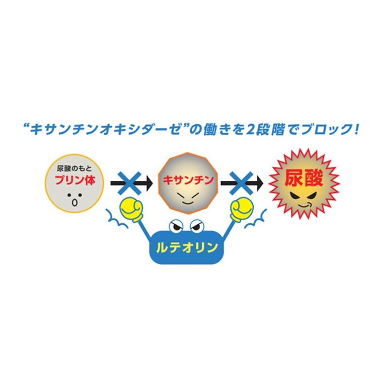 ＤＨＣ ３０日 ルテオリン 尿酸ダウン｜イトーヨーカドー ネット通販