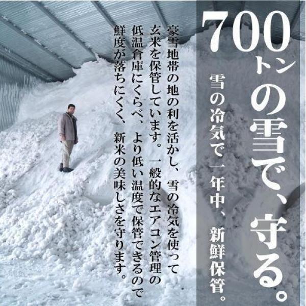 ２３年産 ２ｋｇ 雪蔵仕込み氷温熟成魚沼産コシヒカリ