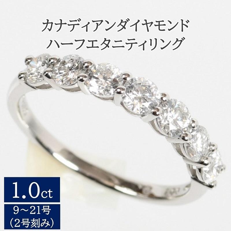 【13号】カナディアンダイヤモンドハーフエタニティリング1.0ct（13号）