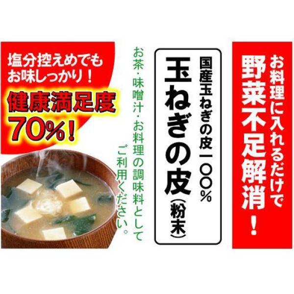 テクロスサーバント 焙煎玉ねぎの皮粉末 １１０ｇ （５袋入