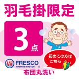 フレスコ丸洗い　羽毛掛限定コース３枚