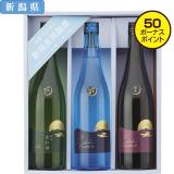 【お中元】長谷川酒造　越後雪紅梅　純米セット　ＳＧ－Ｊ３