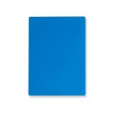 オリオンズ　Ａ４判色透明下敷き　ブルー