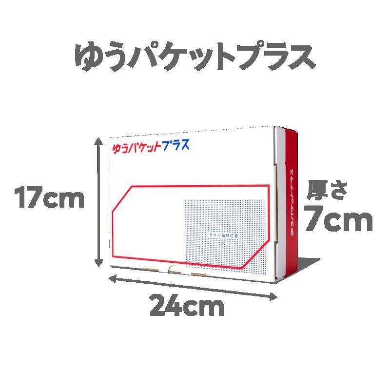 大日本印刷 メルカリ梱包資材 ゆうパケットプラス専用箱