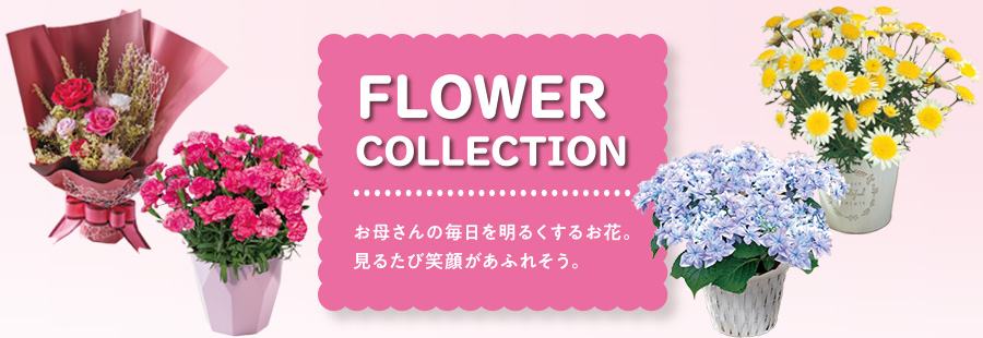 花の種類で選ぶ　母の日ギフト