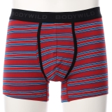 ブライトレッド