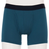 ターコイズブルー