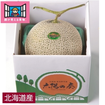 【お中元】「顔が見える果物。」北海道富良野市産メロン「太陽の奏」１個（青）