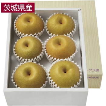 【お中元】茨城県産　幸水梨（２ｋｇ）