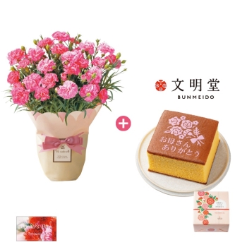 【母の日】「カーネーション鉢植え」＆文明堂カステラ