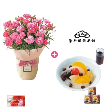 【母の日】「カーネーション鉢植え」＆榮太樓總本鋪　彩りあんみつ