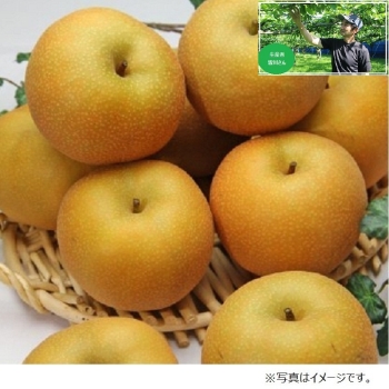 【梨ギフト】千葉県鎌ヶ谷地区産　皆川さんの幸水梨５ｋｇ　１８個　ＭＫ５－１８