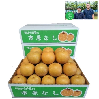 【梨ギフト】千葉県市原地区産　大野さんグル－プの幸水梨５ｋｇ　１０個　ＯＫ５－１０