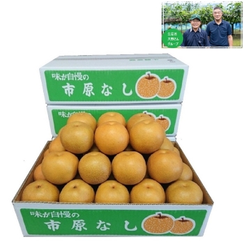 【梨ギフト】千葉県市原地区産　大野さんグル－プの幸水梨３ｋｇ　６個入　ＯＫ３－６