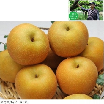 【梨ギフト】千葉県白井地区産　幸水梨３ｋｇ　８個入　ＥＫ３－８