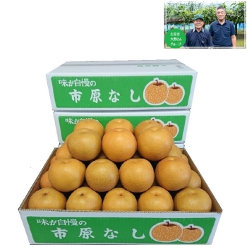 【梨ギフト】千葉県市原市廿五里地区産　大野さんグル－プの幸水梨５ｋｇ　１２個入　ＯＫ５－１２