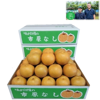 【梨ギフト】千葉県市原市廿五里地区産　大野さんグル－プの幸水梨５ｋｇ　１４個入　ＯＫ５－１４