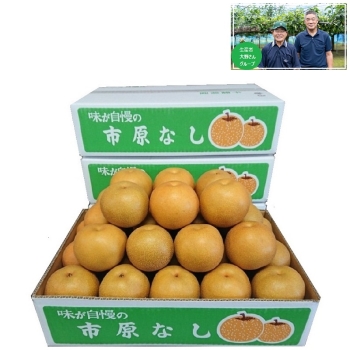 【梨ギフト】千葉県市原市廿五里地区産　大野さんグル－プの幸水梨５ｋｇ　１６個入　ＯＫ５－１６