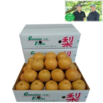 【梨ギフト】千葉県船橋・白井地区産　幸水梨３ｋｇ　９個入　ＪＫ３－９