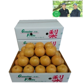 【梨ギフト】千葉県船橋・白井地区産　幸水梨３ｋｇ　１０～１１個入　ＪＫ３－１０－１１