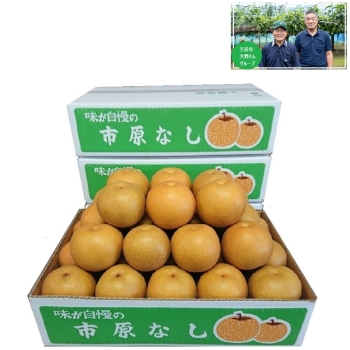 【梨ギフト】千葉県市原市廿五里地区産　大野さんグル－プの幸水梨３ｋｇ　８個入　ＯＫ３－８