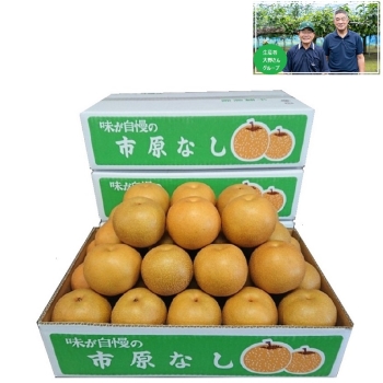 【梨ギフト】千葉県市原市廿五里地区産　大野さんグループの幸水梨３ｋｇ　９～１０個入　ＯＫ３－９－１０
