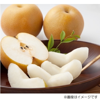 【梨ギフト】千葉県船橋地区産　幸水梨５ｋｇ　１２～１６個入　ＦＫ５－１２－１６