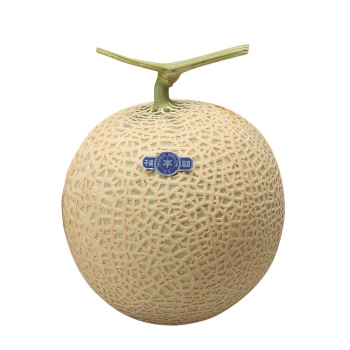 【お歳暮】千葉県産　温室メロン組合アクアメロン　１個ＮＡ－１