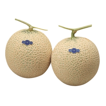 【お歳暮】千葉県産　温室メロン組合アクアメロン　２個ＮＡ－２