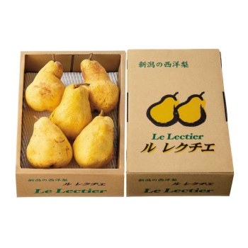 【お歳暮】ご自宅向け　新潟県蒲原地区産　ル・レクチェ（１．８ｋｇ）