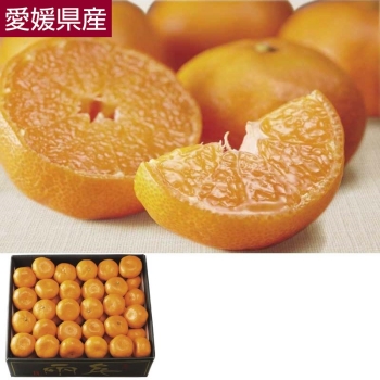 【お歳暮】愛媛県産　千両箱「日の丸みかん」５ｋｇ（Ｍサイズ）