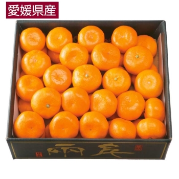 【お歳暮】愛媛県産　千両箱「日の丸みかん」５ｋｇ（Ｌサイズ）