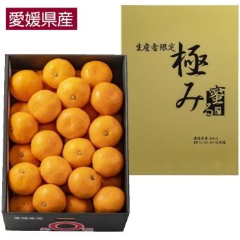 【お歳暮】愛媛県西宇和産「蜜るみかん（極み）」２．５ｋｇ（Ｓ）