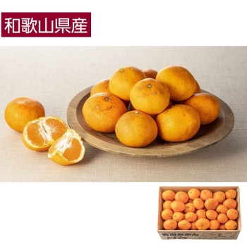 【お歳暮】和歌山県産　有機栽培有田みかん５ｋｇ