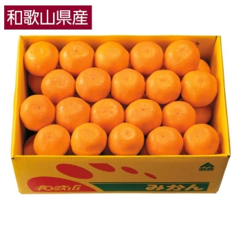 【お歳暮】和歌山県紀の川市産　みかん５ｋｇ（Ｍサイズ）