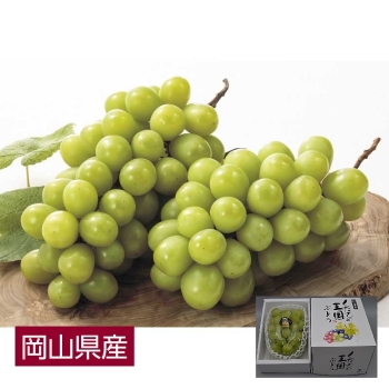 【お中元】岡山県産シャインマスカット「晴王」（７００ｇ）