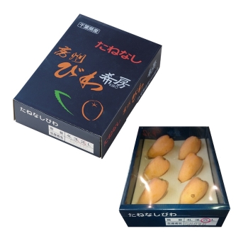 千葉県南房総市産 穂積さんの「種なしびわ」ＢＨ－ＴＮ