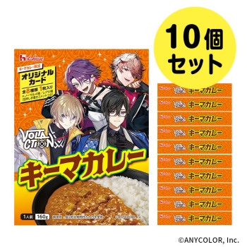 VOLTACTION　キーマカレー　１６０ｇ　１０個セット