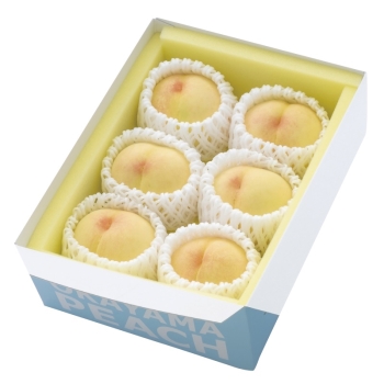 【お中元】岡山県産　白桃【不揃品】（１．２ｋｇ）