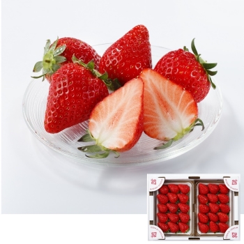 【お歳暮】ミガキイチゴ　シルバー（３２０ｇ）