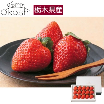 【お歳暮】栃木県産とちあいか「宇南プレミアム」（４５０ｇ）