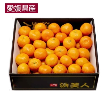 【お歳暮】外なり育ち　愛媛県産　浜美人みかん（Ｓ）