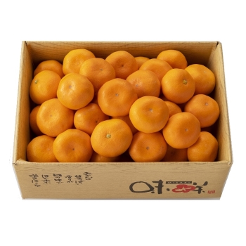 【お歳暮】熊本県産肥後こだわり自慢みかん（５ｋｇ）