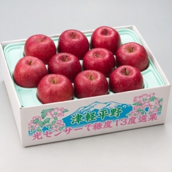 【お歳暮】青森県産　糖度選果サンふじりんご（２．５ｋｇ）