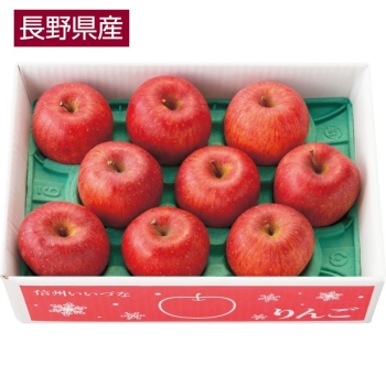 【お歳暮】長野県飯綱町産　相澤さんのサンふじりんご（３ｋｇ）