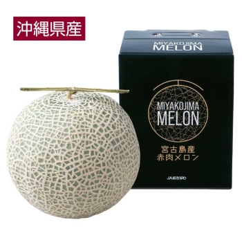 【お歳暮】沖縄県宮古島産　メロン