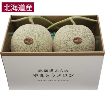 【お中元】北海道富良野市産やまとうメロン（２個）